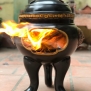 lư hóa vàng lư hóa vàng